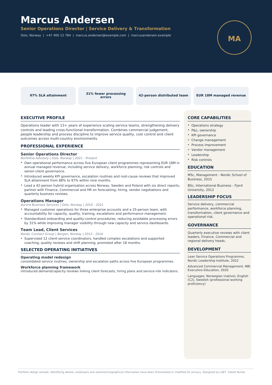 Visual executive CV sample